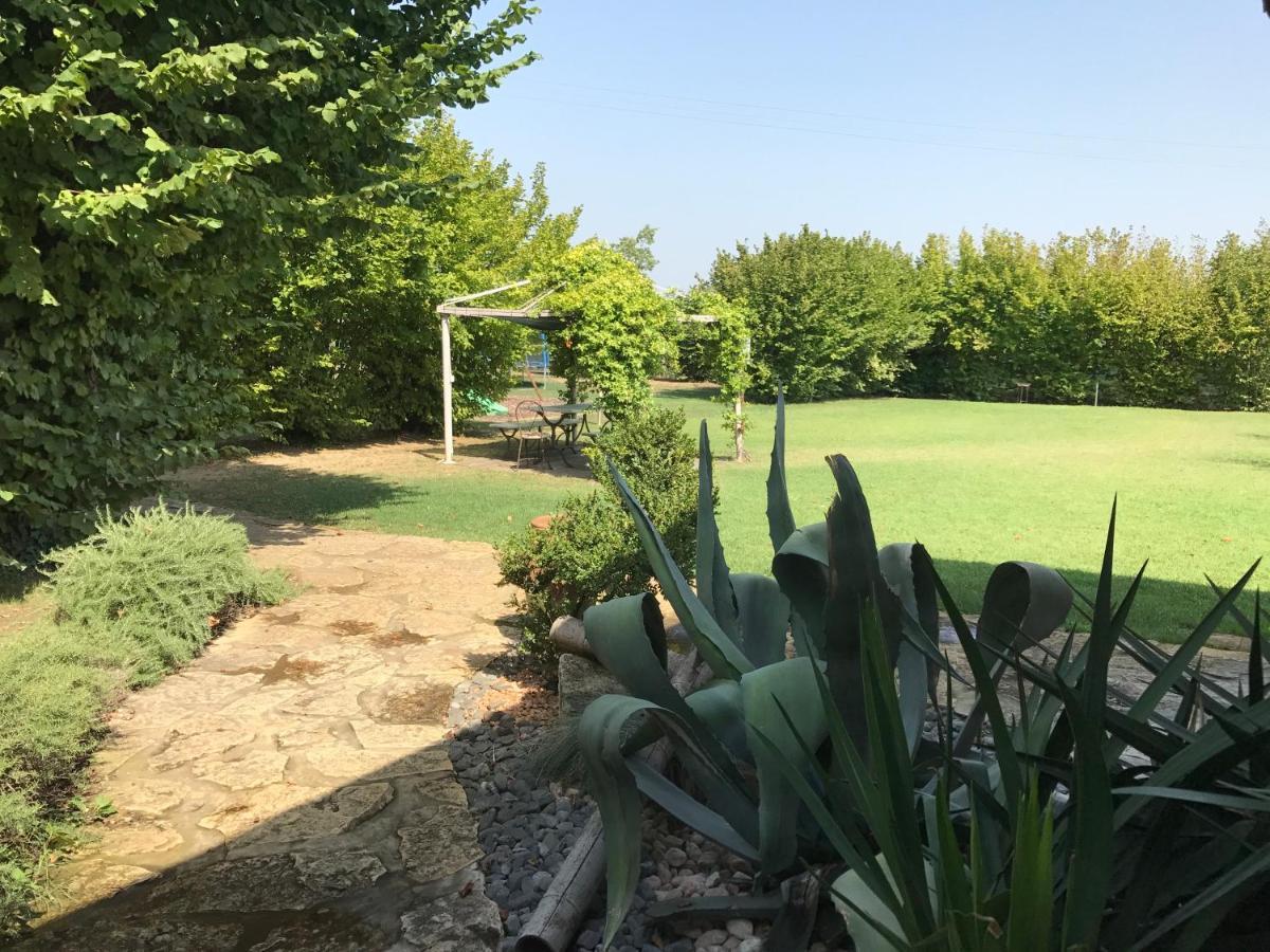 Отель Ca' Borgo Delle Rane Pernumia Экстерьер фото