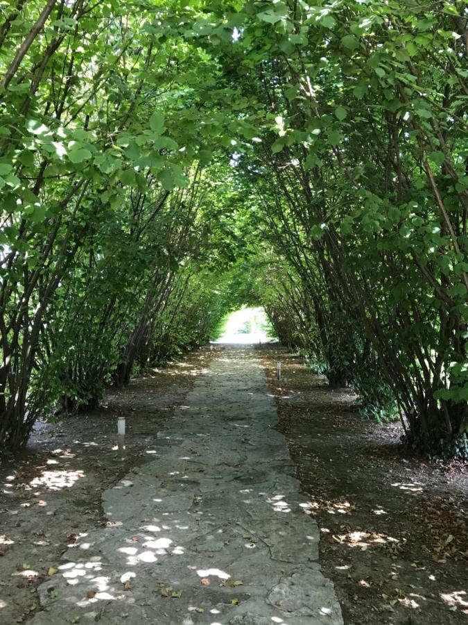 Отель Ca' Borgo Delle Rane Pernumia Экстерьер фото